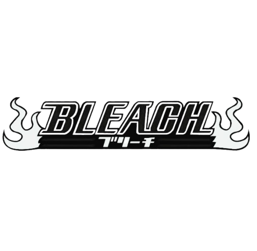 Bleach clothes