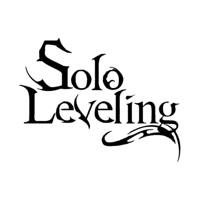 Solo leveling clothes